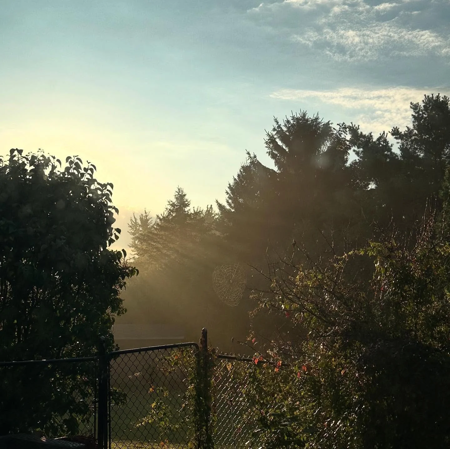 I know we&rsquo;re a week away from Christmas. But &hellip; like, where did September, October , and November go?

As a 42 year old woman parenting teenagers with FULL lives, running my own business and trying to stay connected to all the people I lo