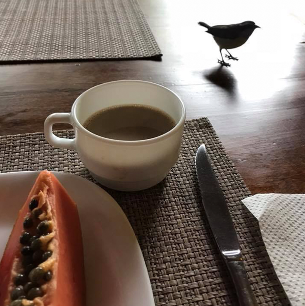 Café da manha 1.png