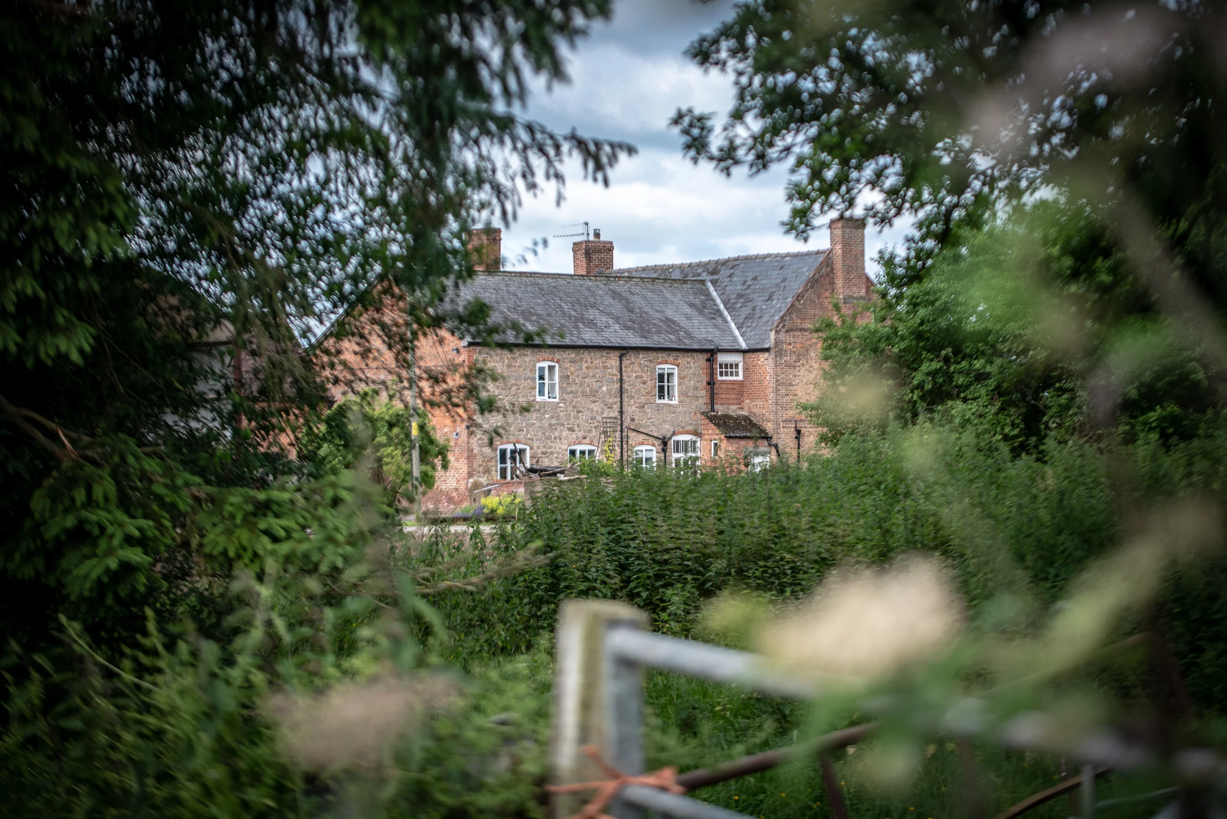 Tudge-Farms-06.18-37.jpg