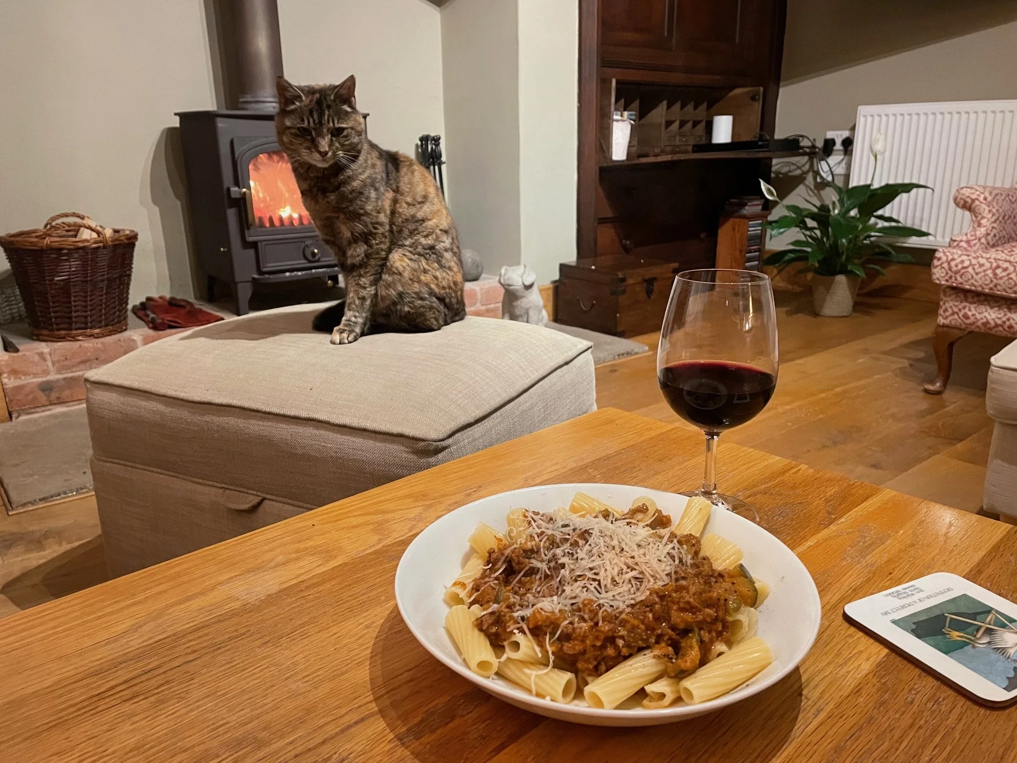 Venison Bolognese