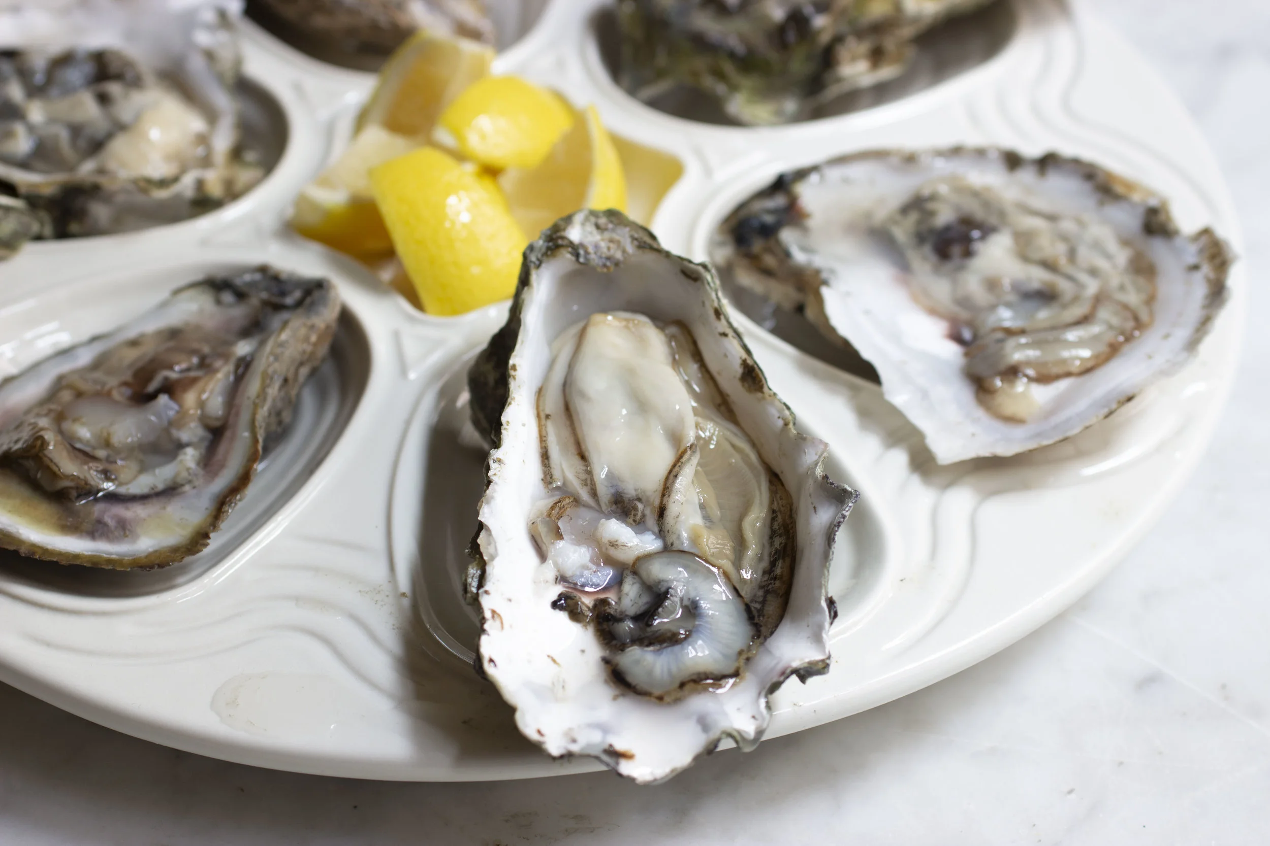 oysters  (11)-2.JPG