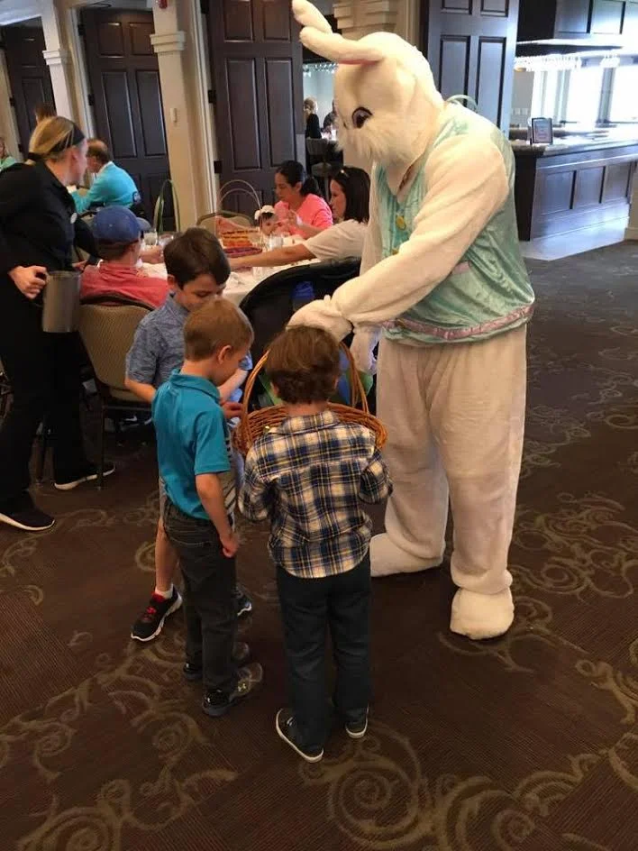 bunny.jpg