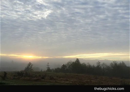 Sunrise-WM.jpg