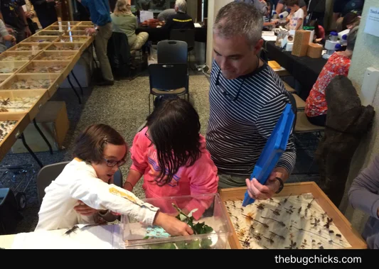 M-Teaching-WM-bug-chicks.jpg