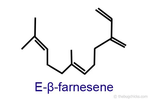 E-β-farnesene is a compound found in essential oils and aphid secretions.