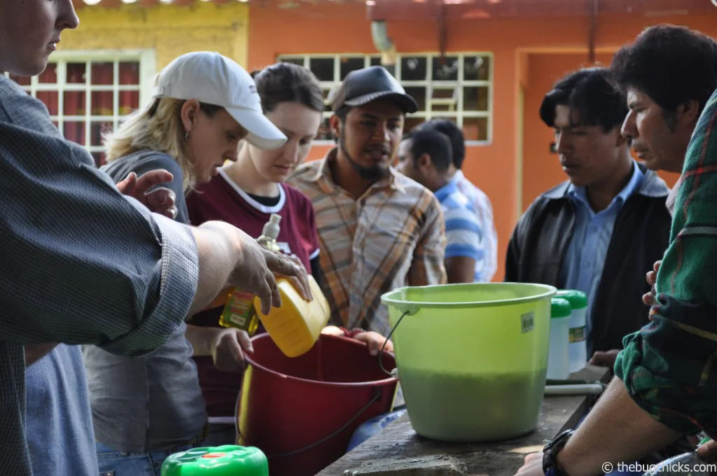 guatemala-teaching-bug-chicks1.jpg