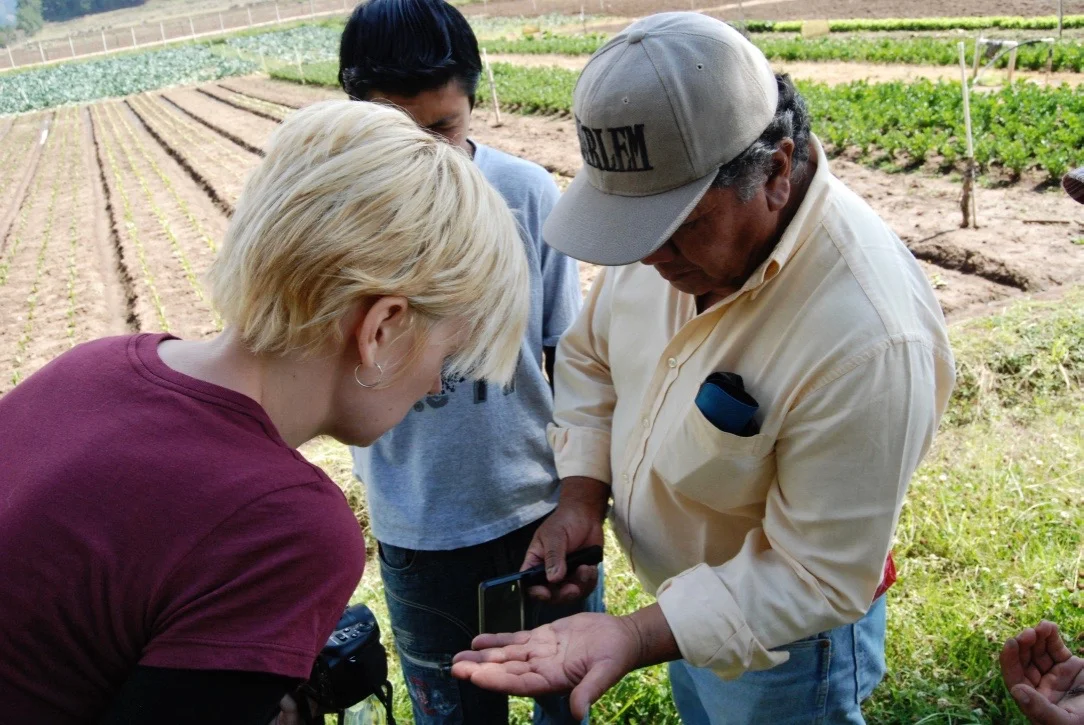 entomology consulting.jpg