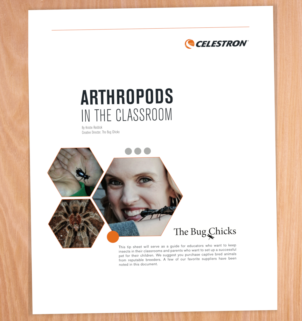 ebook Cover DESK.png