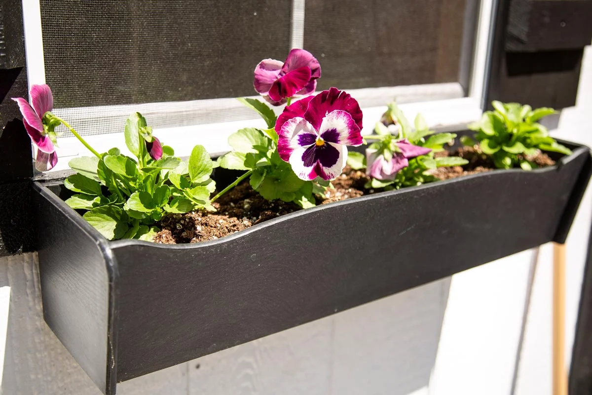 flowerbox-2.jpg