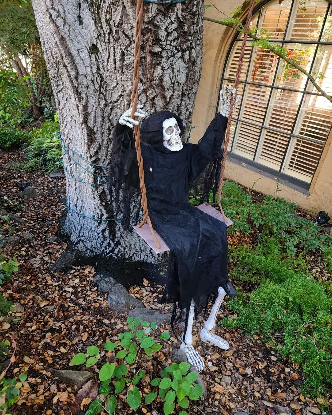 It's this time of year again, and we love seeing our clients' gardens become spooky! 
🎃👻
Gardens can be spaces that bring us peace and joy, spaces we enjoy with our loved ones, or when we need a moment of stillness and quiet. And they can also be c