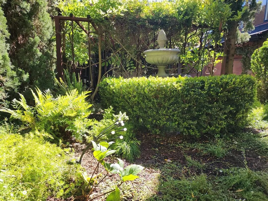 We added to this Oakland garden about a year ago, and we are so pleased with how it is looking! 
-- 
The lovely owners wanted a secret garden feel, and we delivered 🌱✨
--
When we design a garden, we take our clients' vision and wishes very seriously