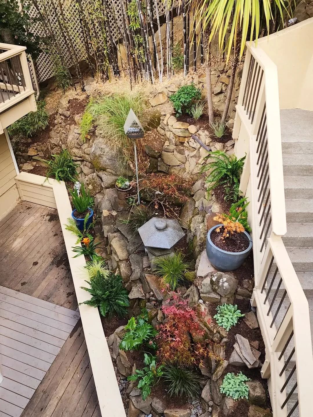 This rock layered courtyard has been transformed, from bare to woodland magic ✨ 

We are so proud of this design- it has layers, an abundance of color and texture AND still has room to grow. 🌱

It's full of Japanese maples, live succulent arrangemen