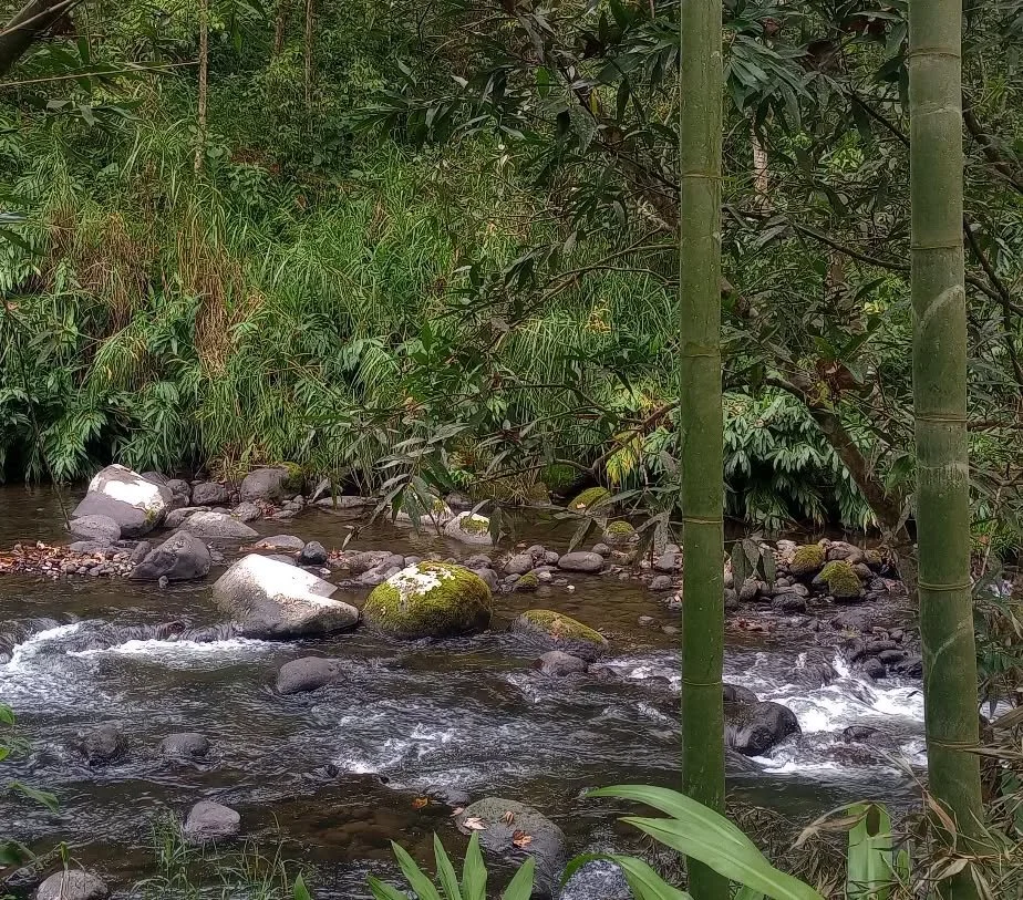 May 2026 be kind to us, may it make our gardens grow, bloom, thrive. 
💚🌱
We are looking forward to many days with our hands in the soil, pruners in hand, in conversation with the plants and critters in the garden.🪱🐛
-
May this year be full of lig