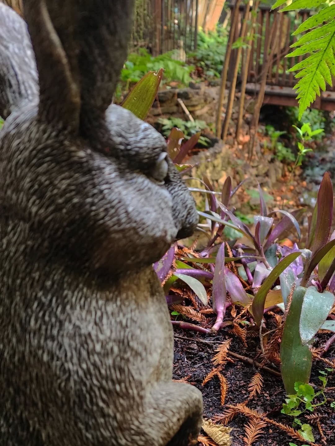 A Monday morning snapshot of our gardening rhythms, rain or shine. 🌦️☀️
--
We love caring for the smallest of details that make a garden magical. Details that will make you smile as you wander through the maze of plants that makes up your garden. De