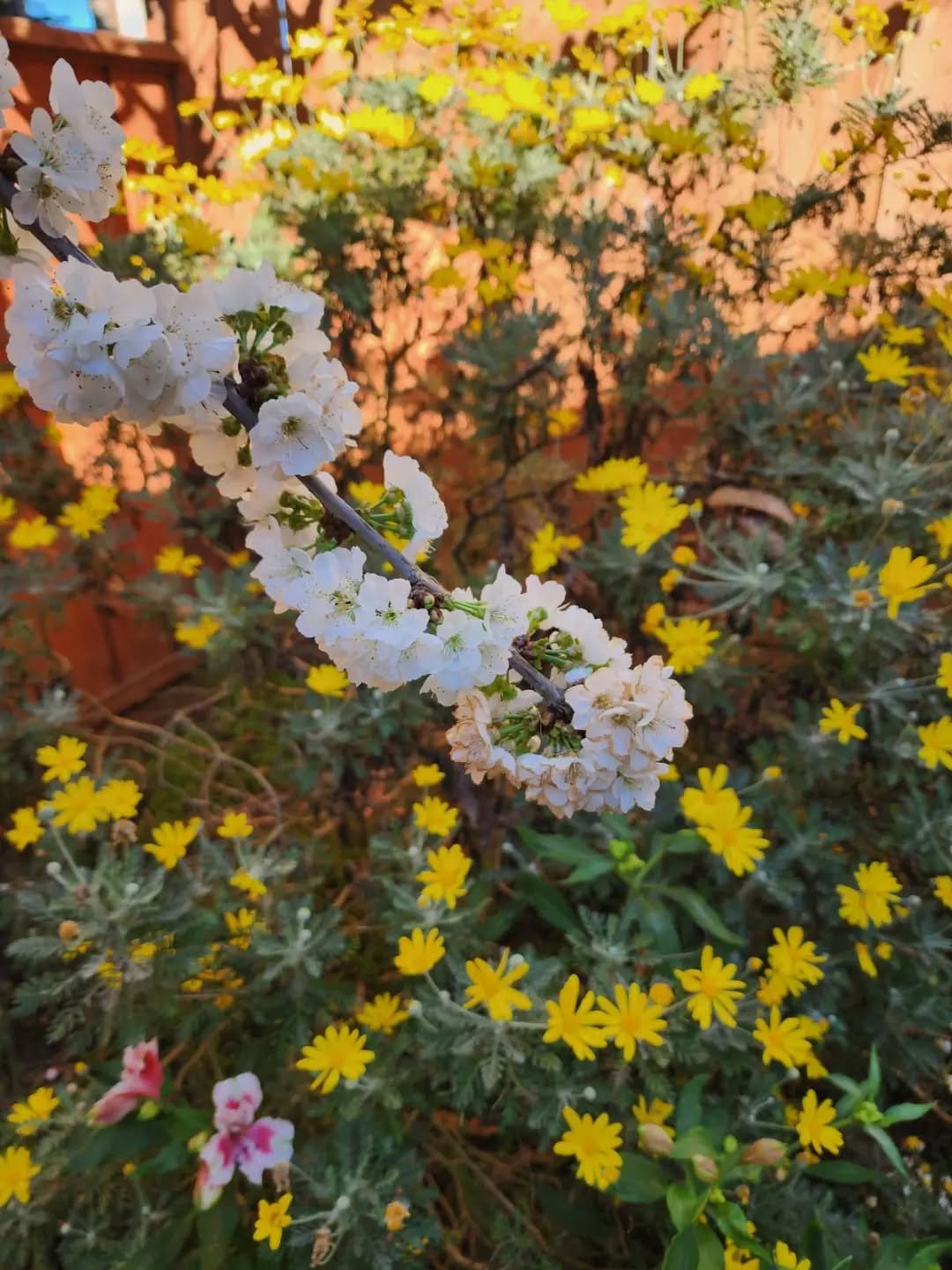 Hello hello Spring!!!!! ✨🌱
--
We love your blossoms, warmer weather and sprouting buds. 
🌸
--
We love watching plants unfurl their leaves, and welcome a new season. 
--
We love you Spring- thank you for bringing us a sense of renewal, of hope, of l