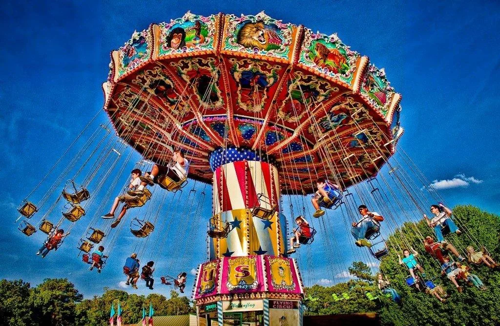 Wave Swinger.jpg