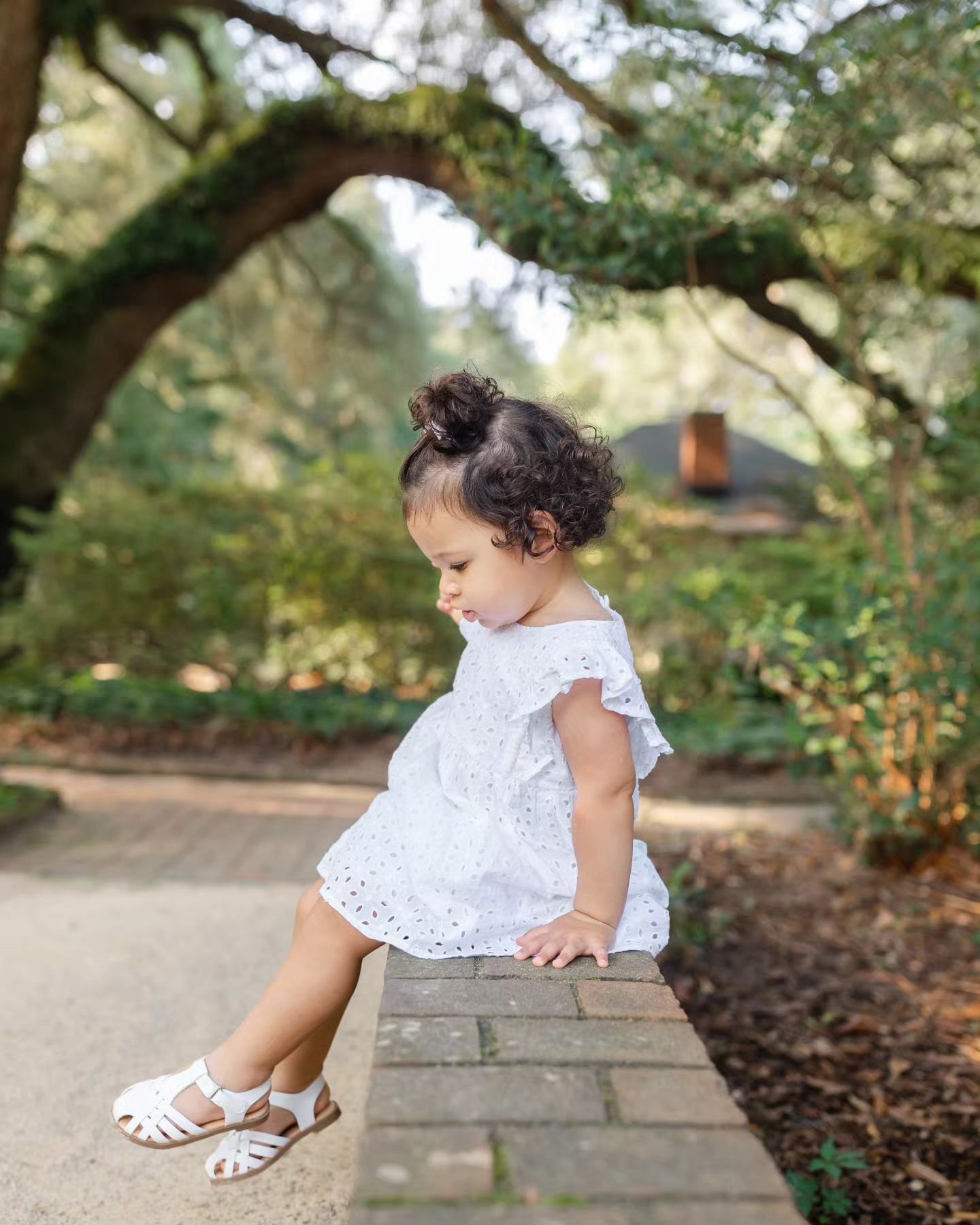All of my current seasonal sessions are LIVE on my website! www.rebeccajudyphotography.com/seasonal-sessions 🎄🎅🍂🍁 Click the link to book!