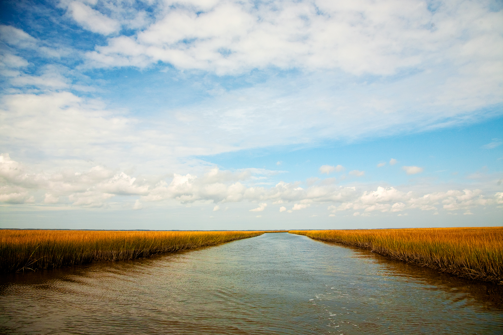 _eastern-shore-3768.jpg