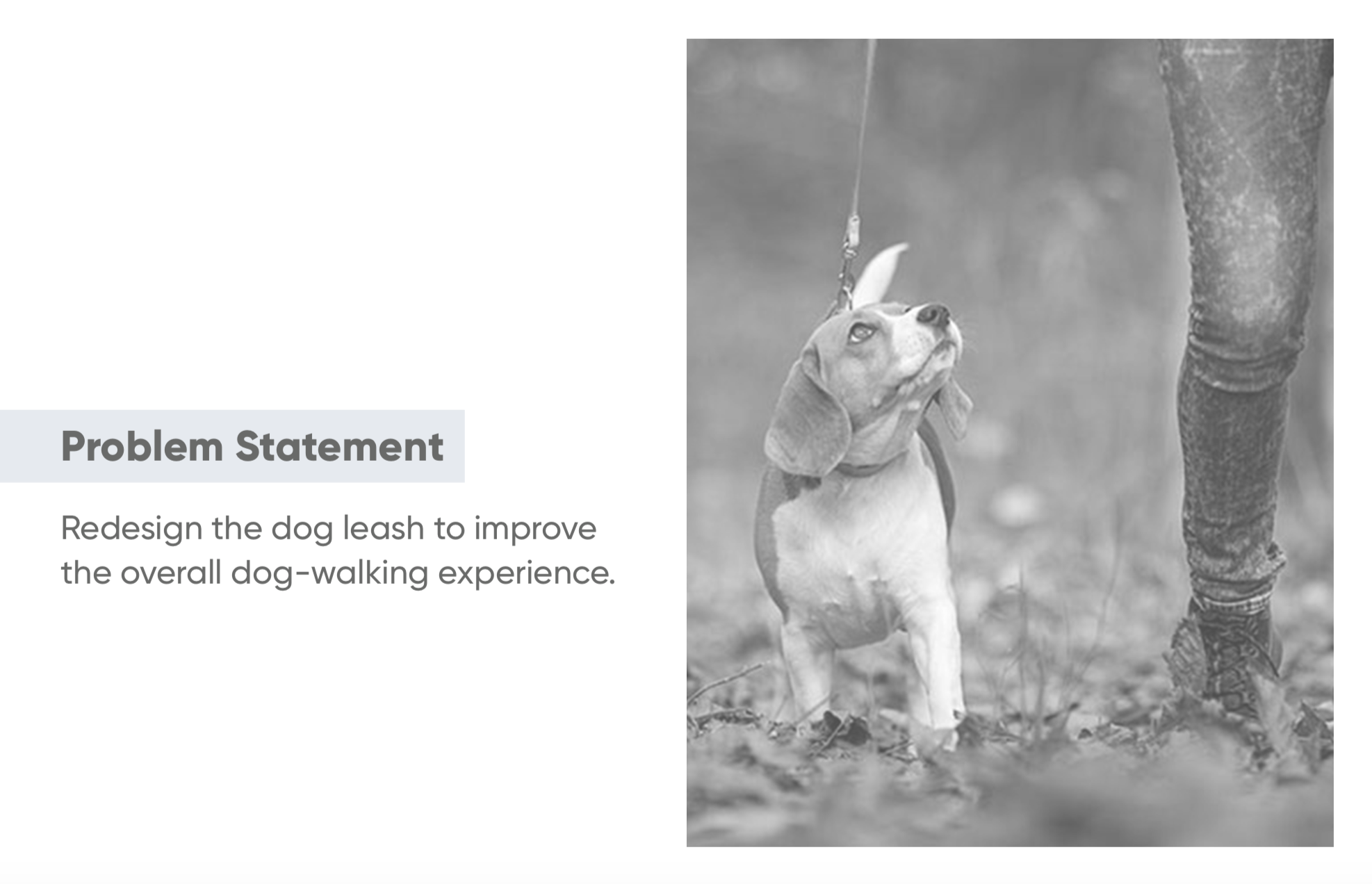 Screen Shot 2020-01-16 at 9.56.47 AM.png