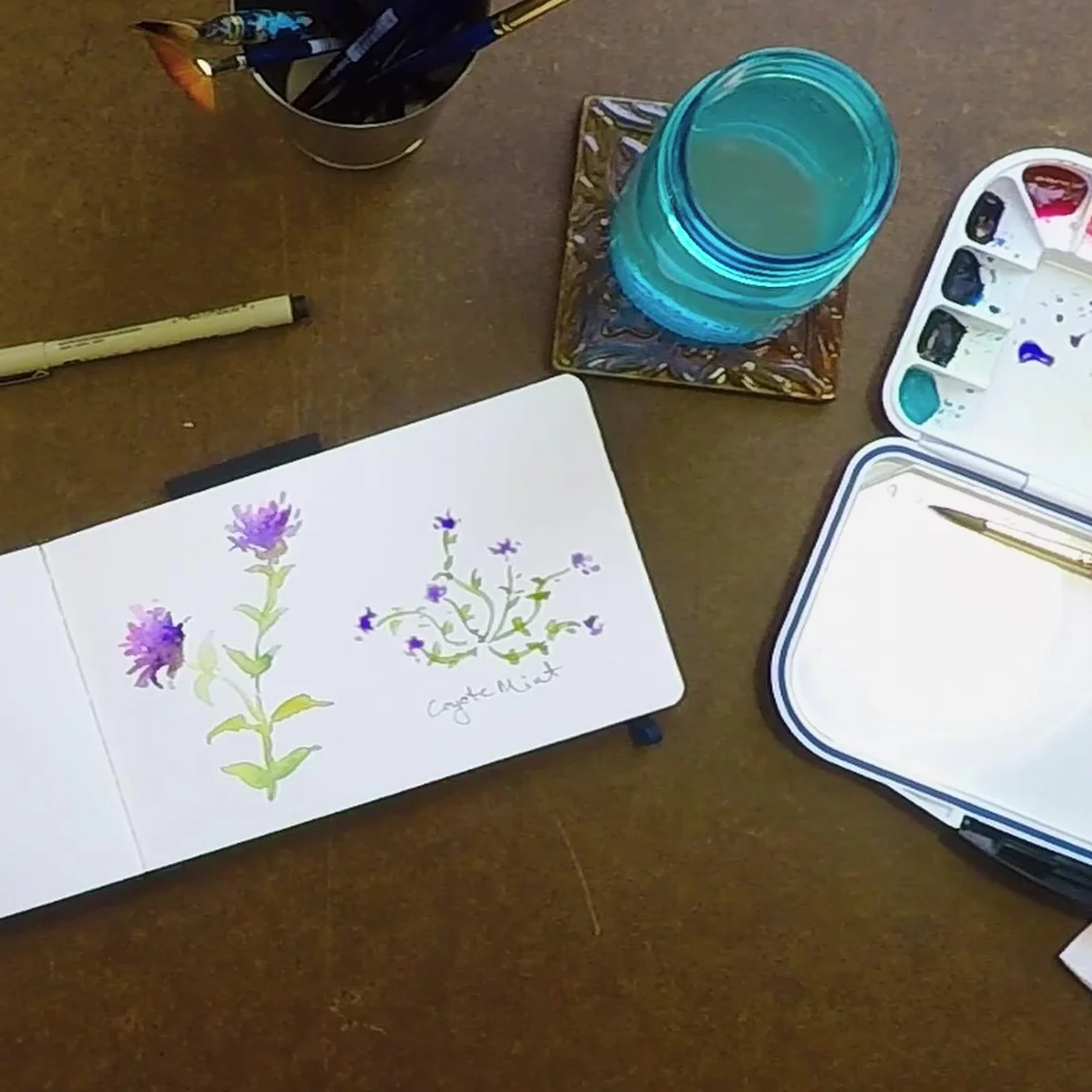 Coyote Mint Wildflower