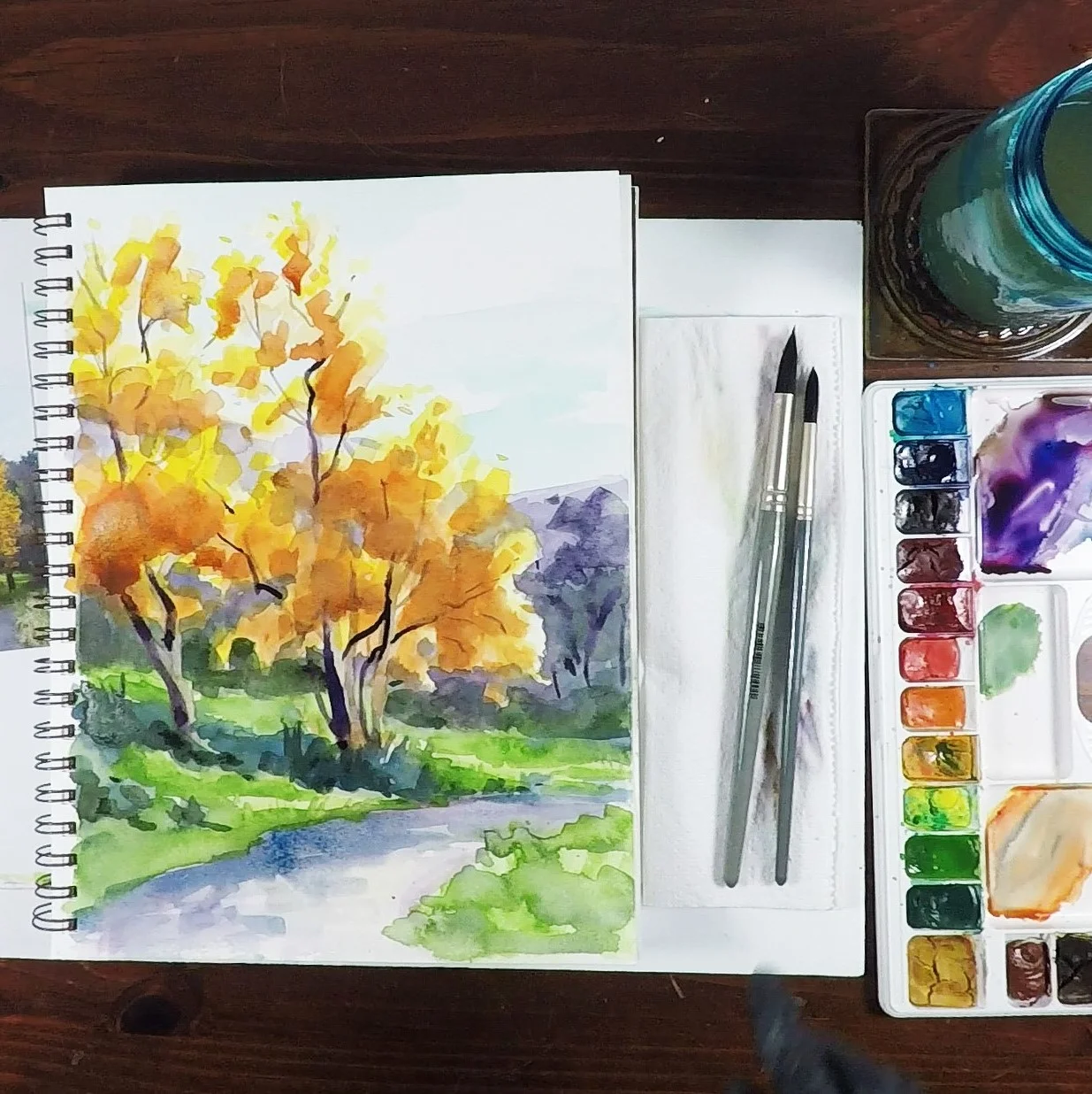 Sycamores