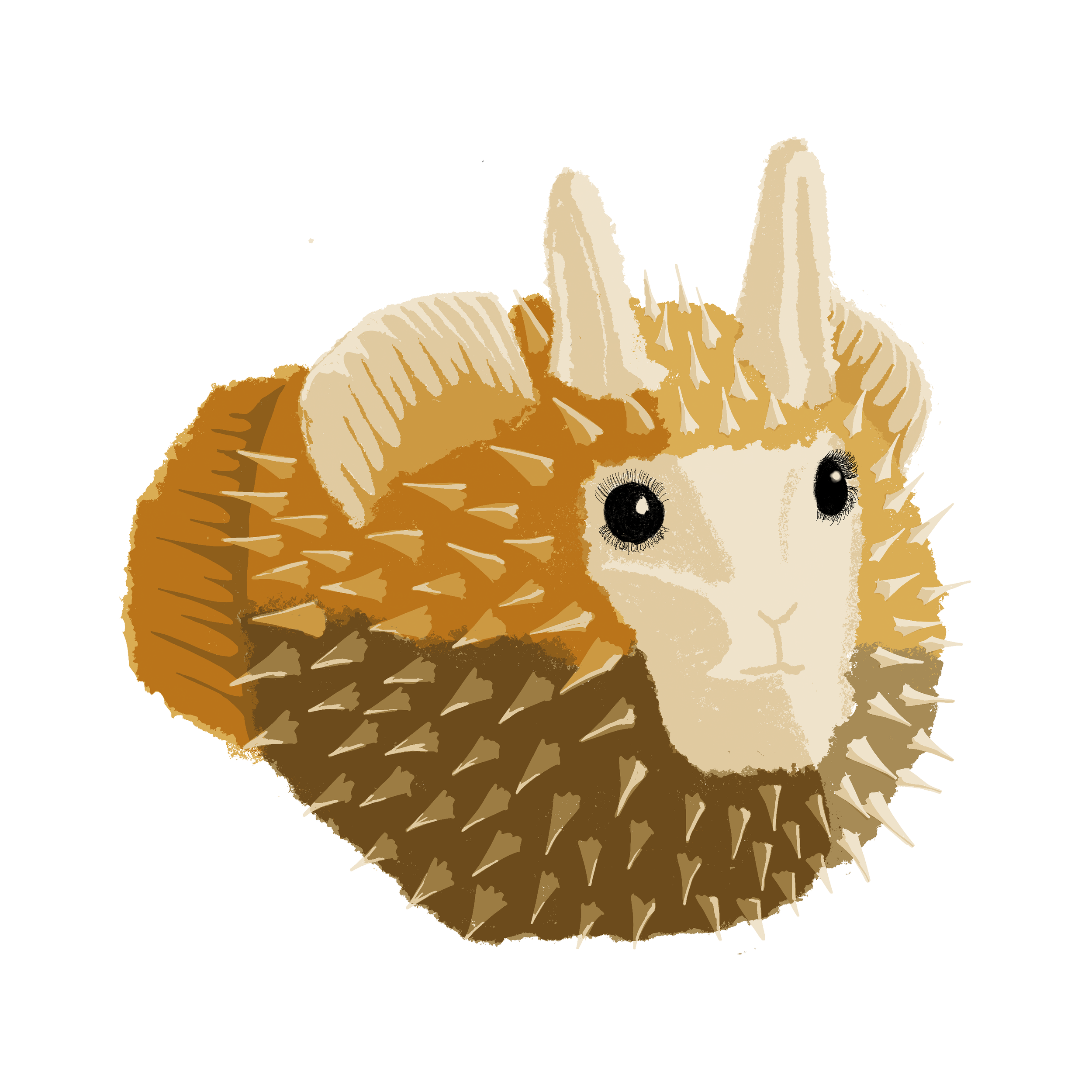 Llufisha.png