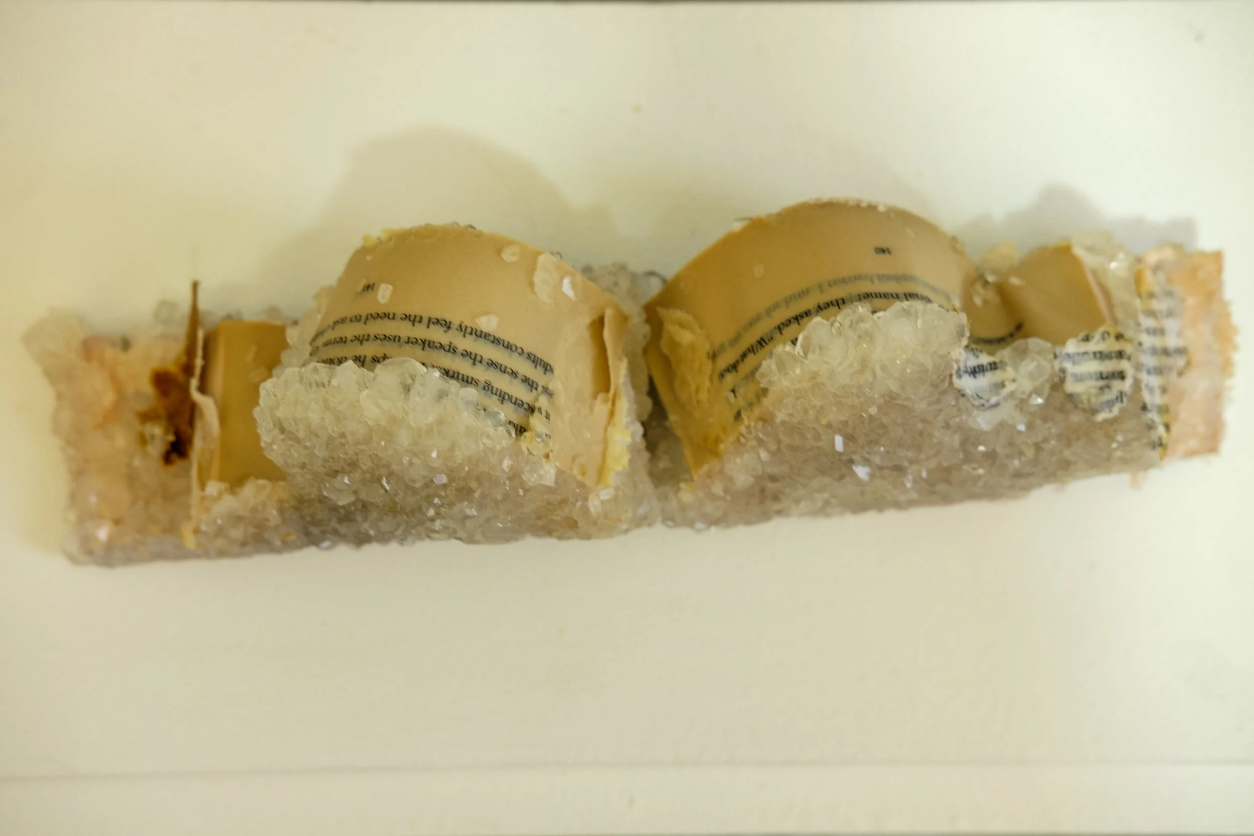 DSCF9503.jpg