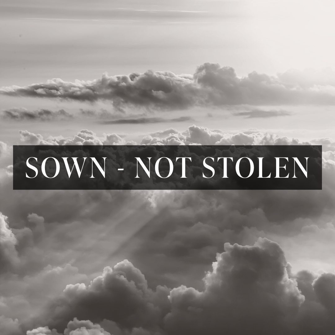Sown Not Stolen 