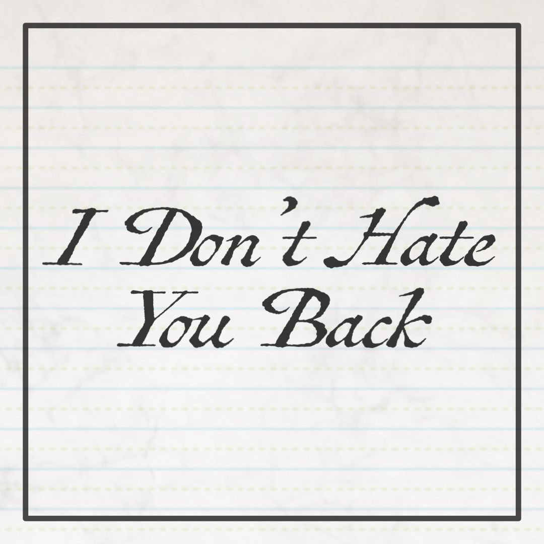 I Don't Hate You Back 