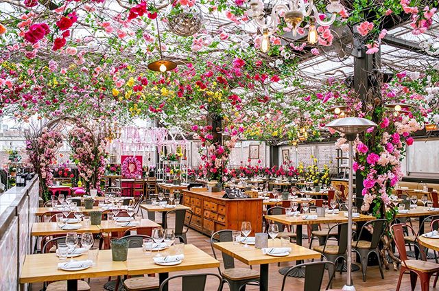 Mr Groundhog was right, spring has come early to Serra @eatalyflatiron &bull;
&bull;
&bull;
Seasonal restaurant makeover @eatalyflatiron
Pic: courtesy of @eatalyflatiron