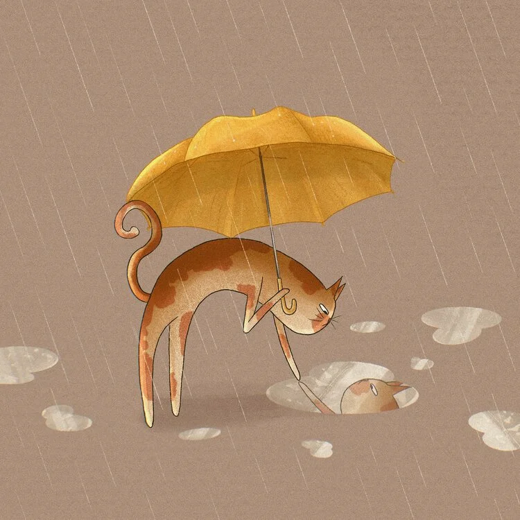 Local Cat Sees His Reflection For First Time, Falls In Love