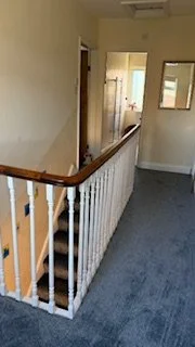 IMG_2774.jpeg