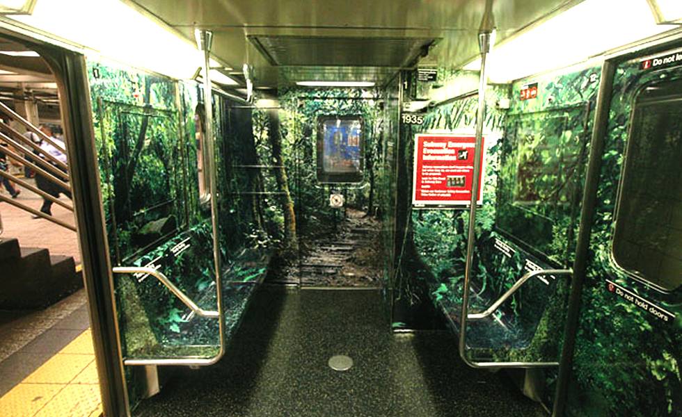 woods subway_o.jpg