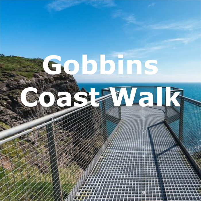 gobbins.png