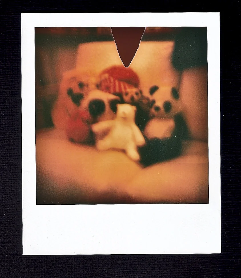polaroid- land-camera-100001.jpg
