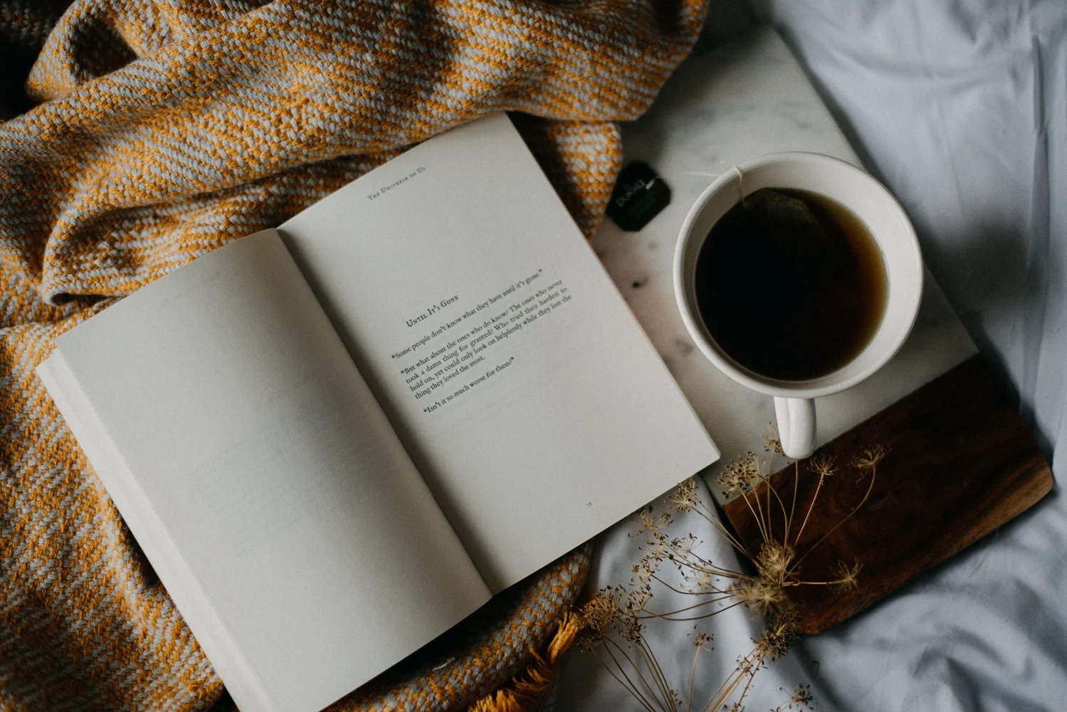 cosy-book-tea.jpg