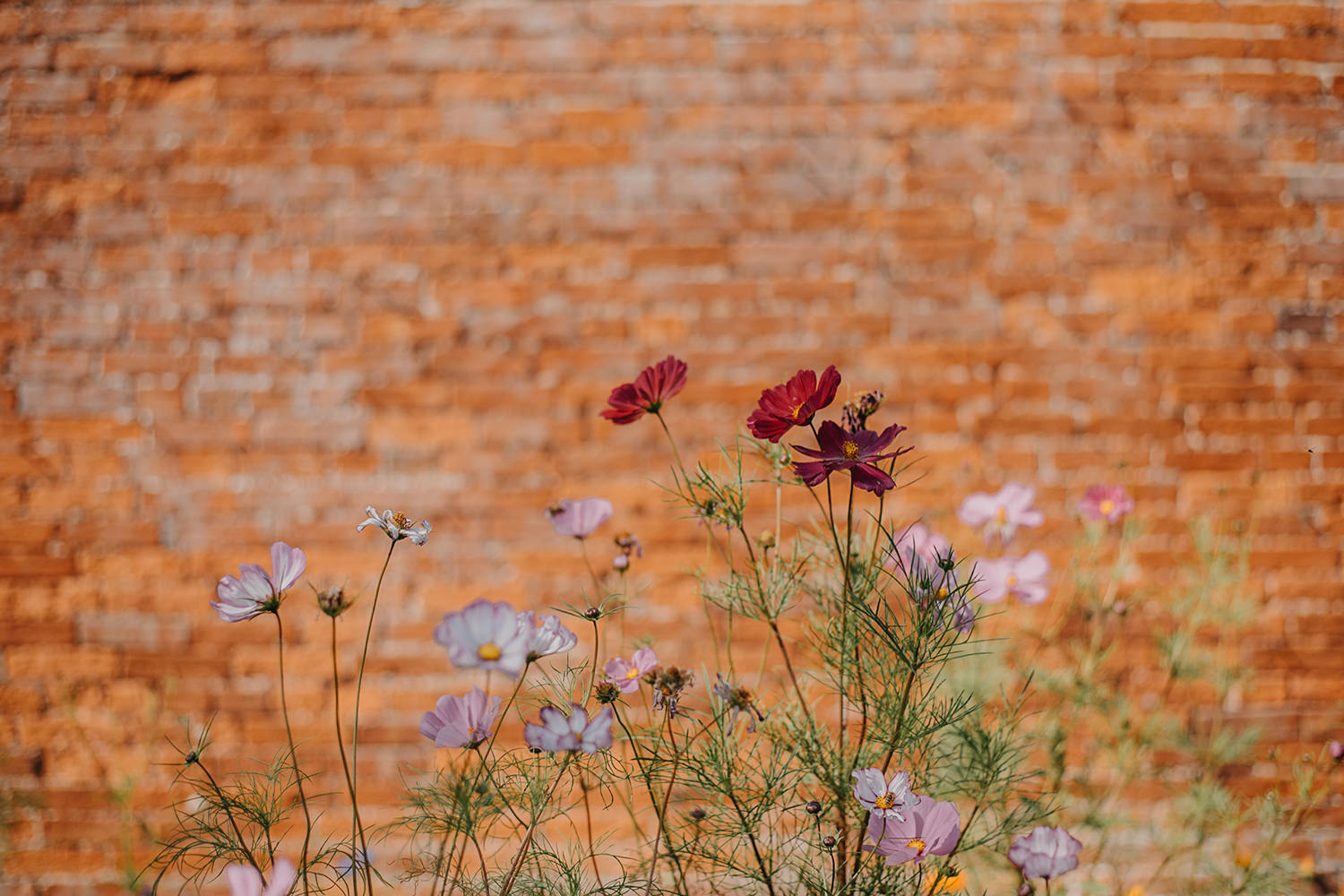 Calke-Abbey-National-trust012.jpg
