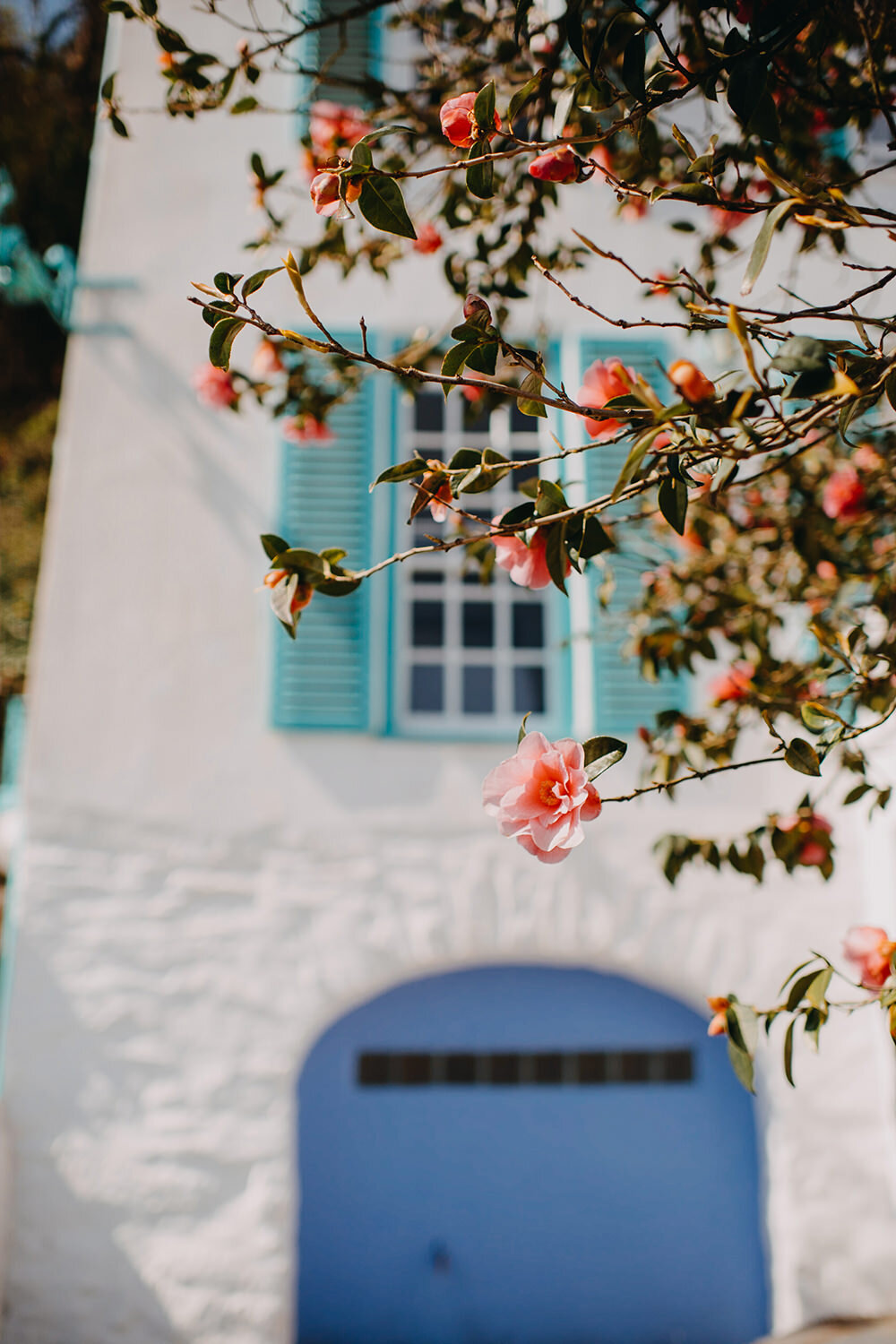 Exploring-Portmeirion-travel-photography017.jpg