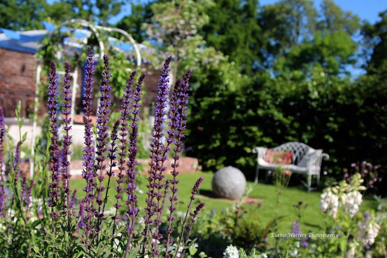 Bloom-super-alex-alexandra-hollingsworth-garden-design-4.JPG