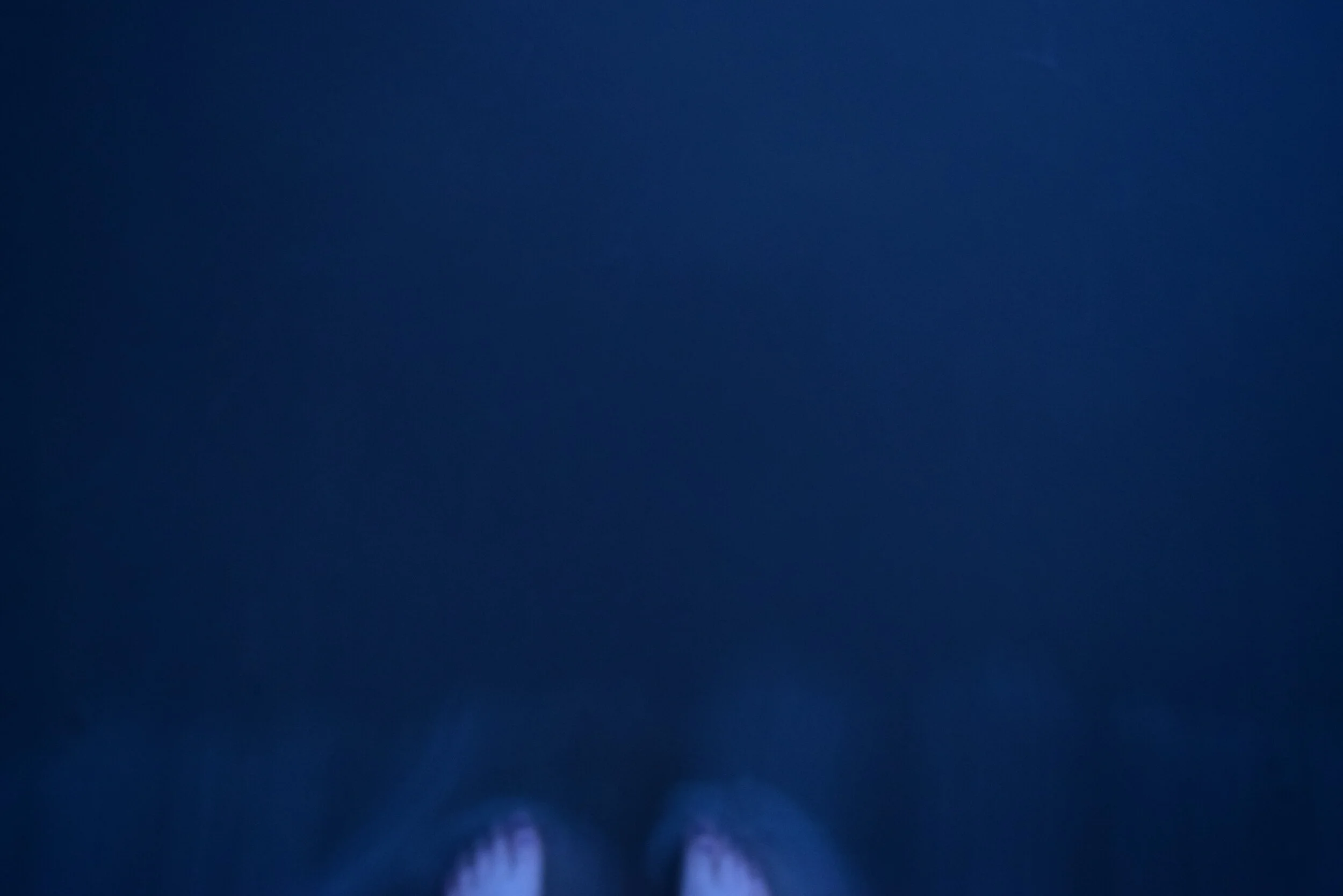 We're in the ocean looking for the ocean...