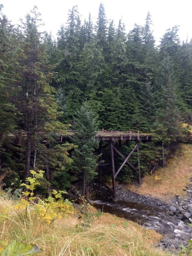 alaska bridge.jpg