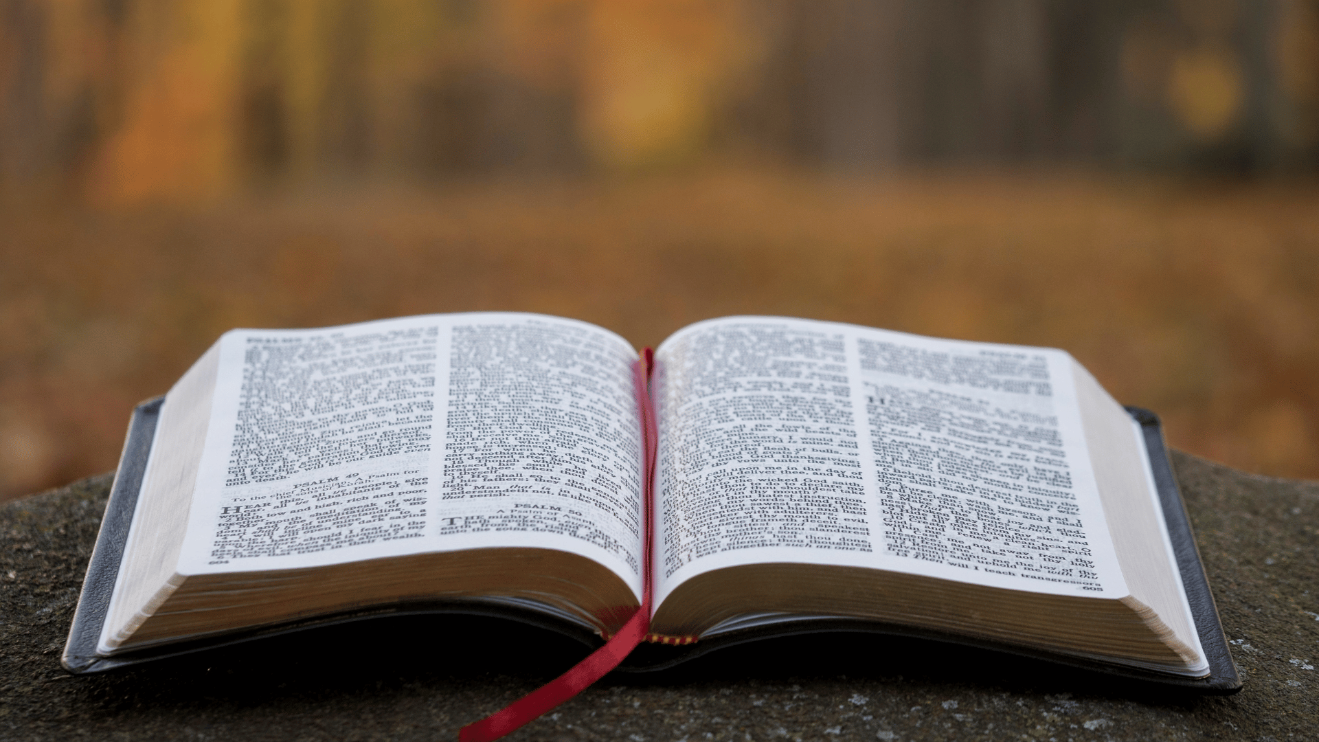 Prodigal Moment: Choosing God's Way Over Our Own