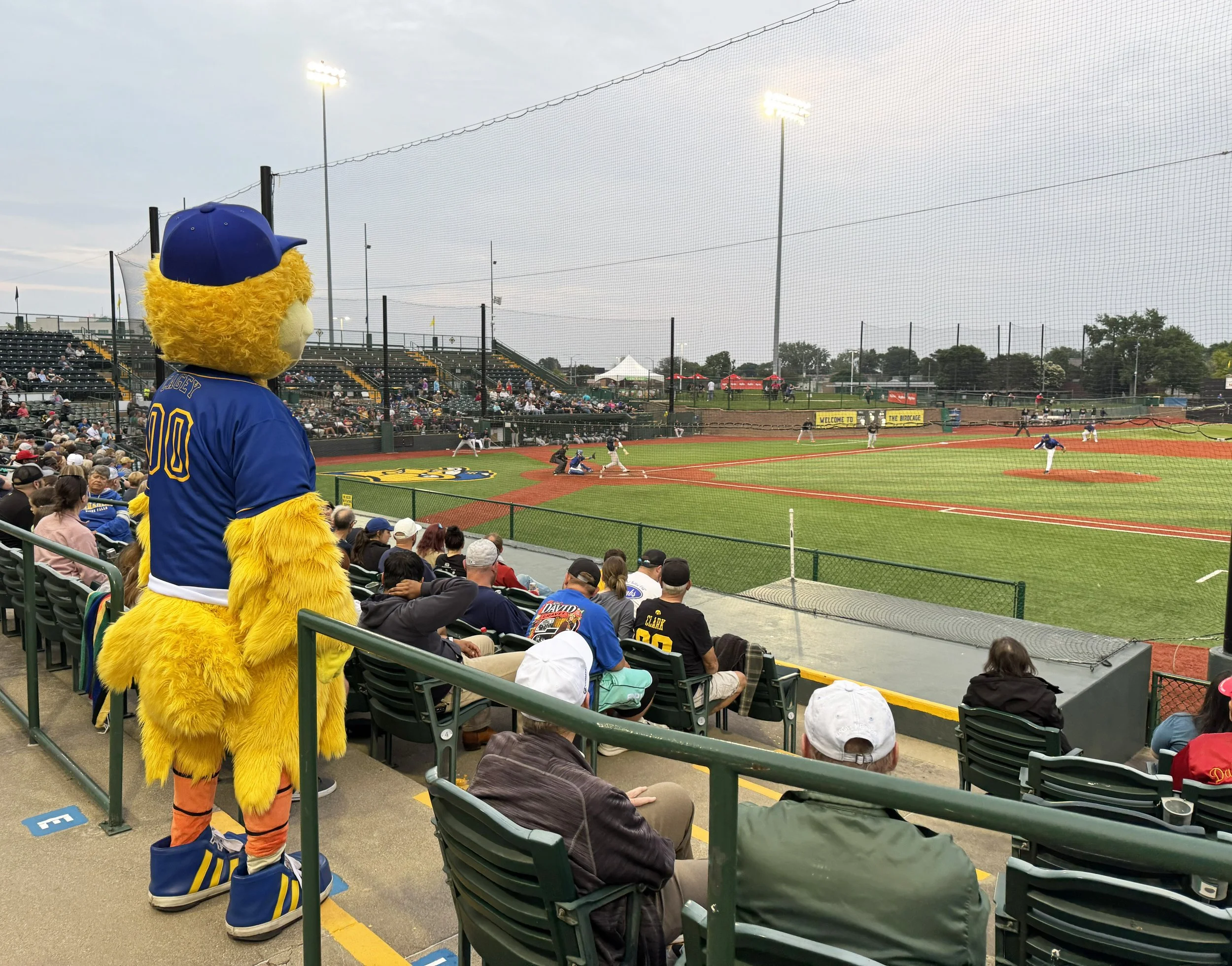 Western Midwest (2025)