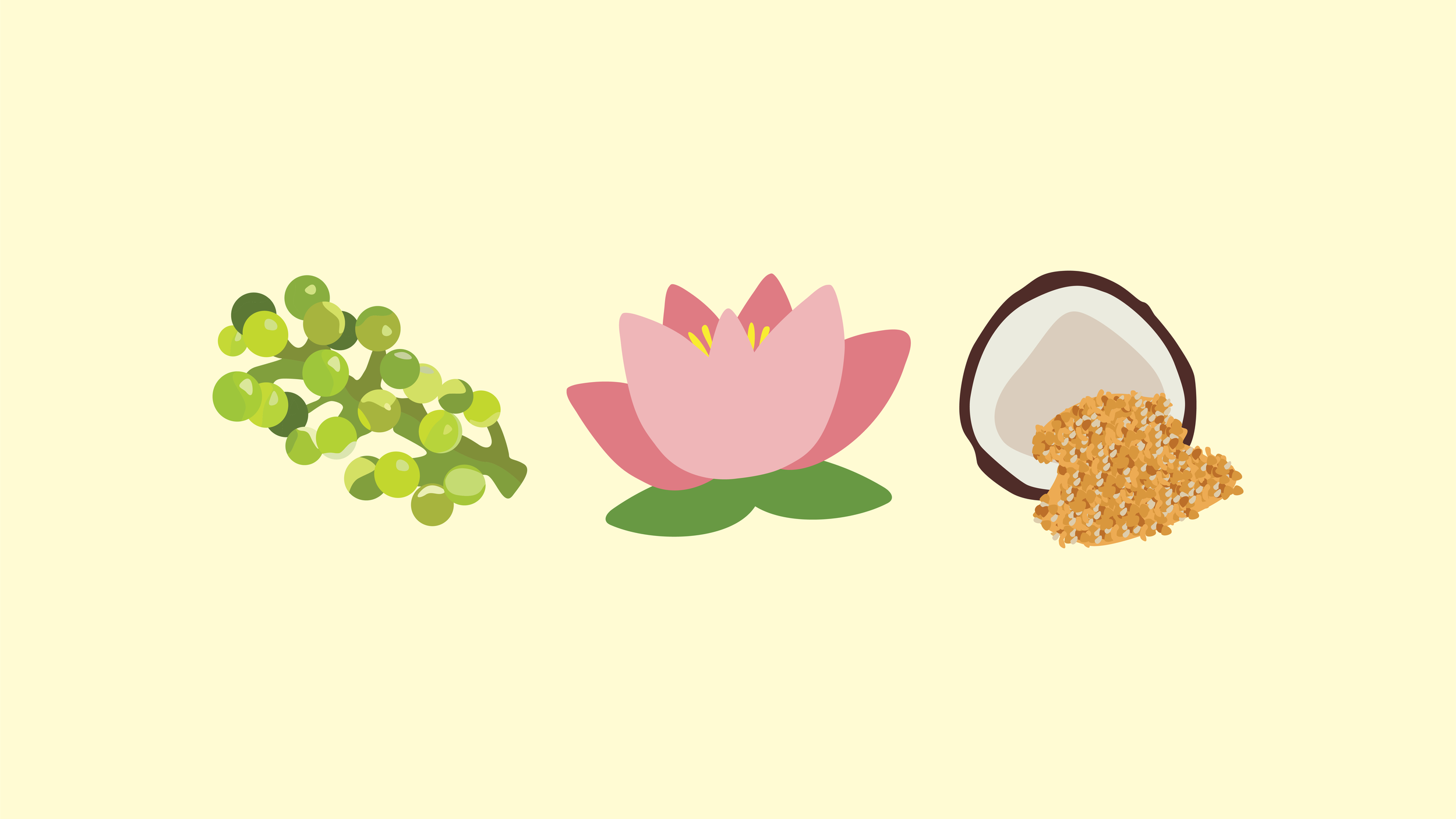 mhmc illustration portfolio-03.png