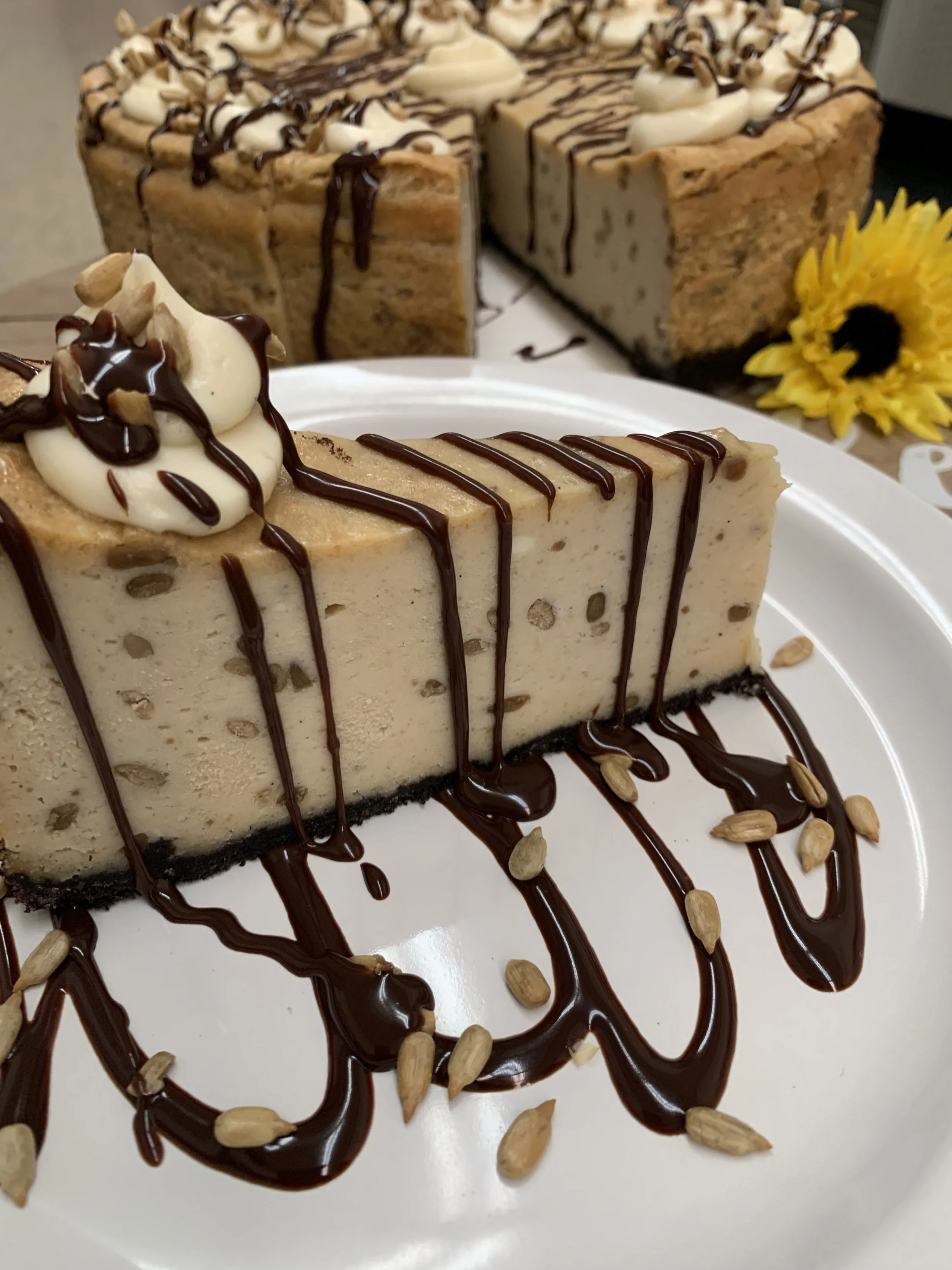 Sunflower-Chocolate-Cheesecake.jpg