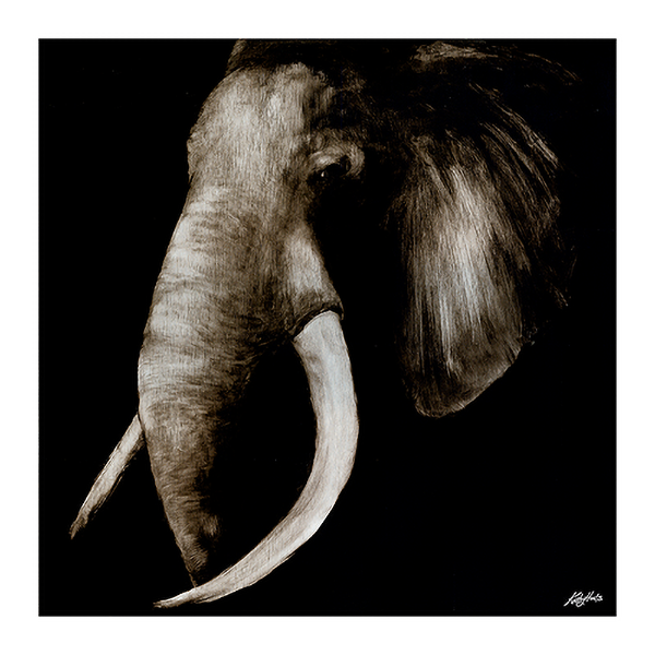 Side View Elephant.png