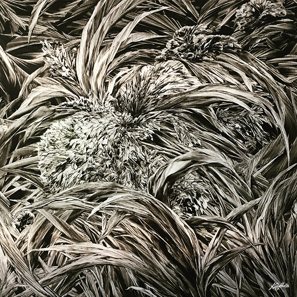 Flowers in a Field.png
