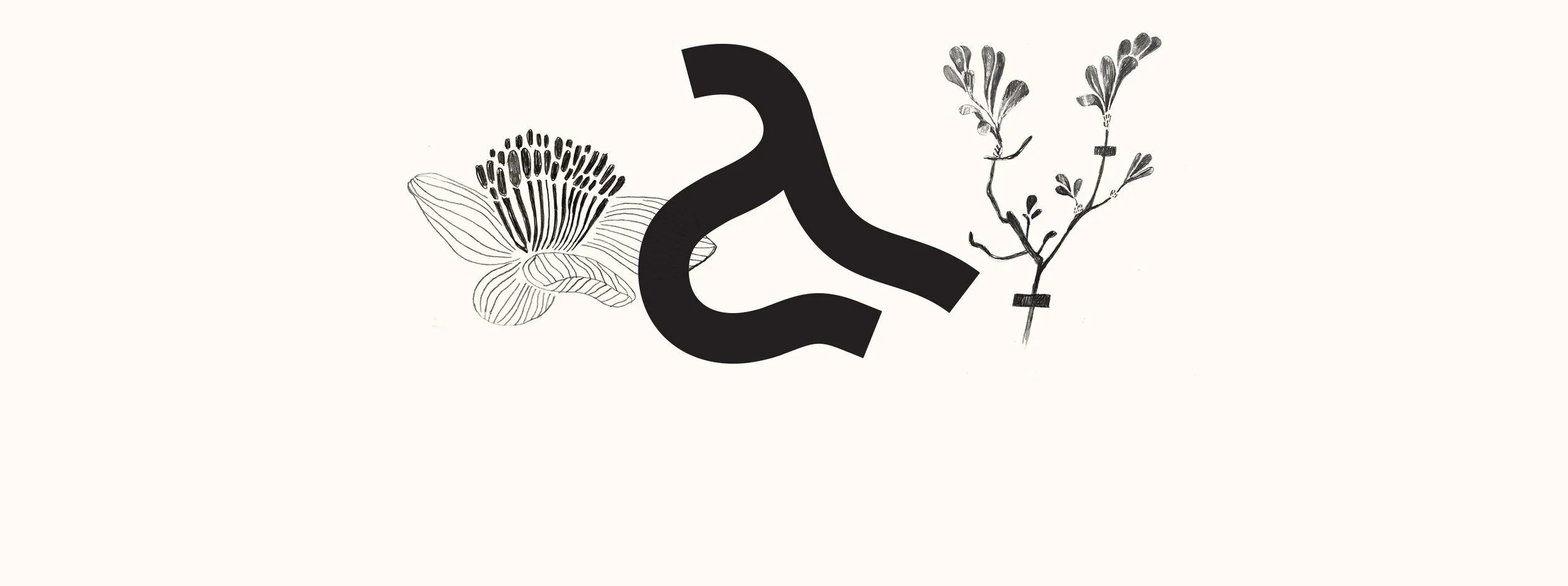 bakgrunnsfarge_logo_tegninger_II.jpg