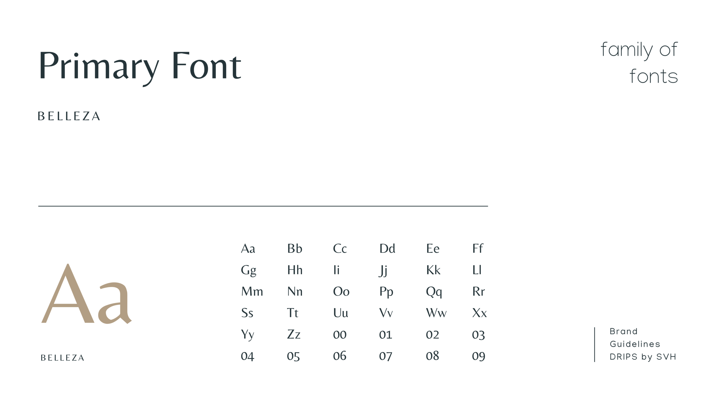 Primary Font -  usually the heading font.png