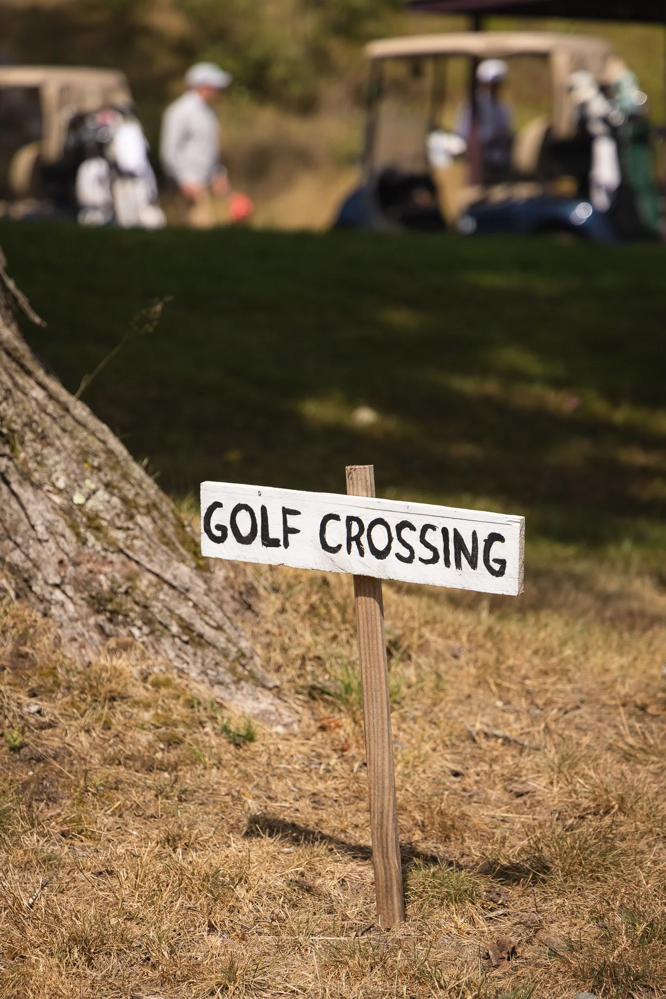 SCGC 100 Years461.jpg